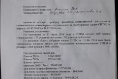 Акт ревизии финансово-хозяйственной деятельности СНТ «Мичуринец» за второе полугодие 2018 года